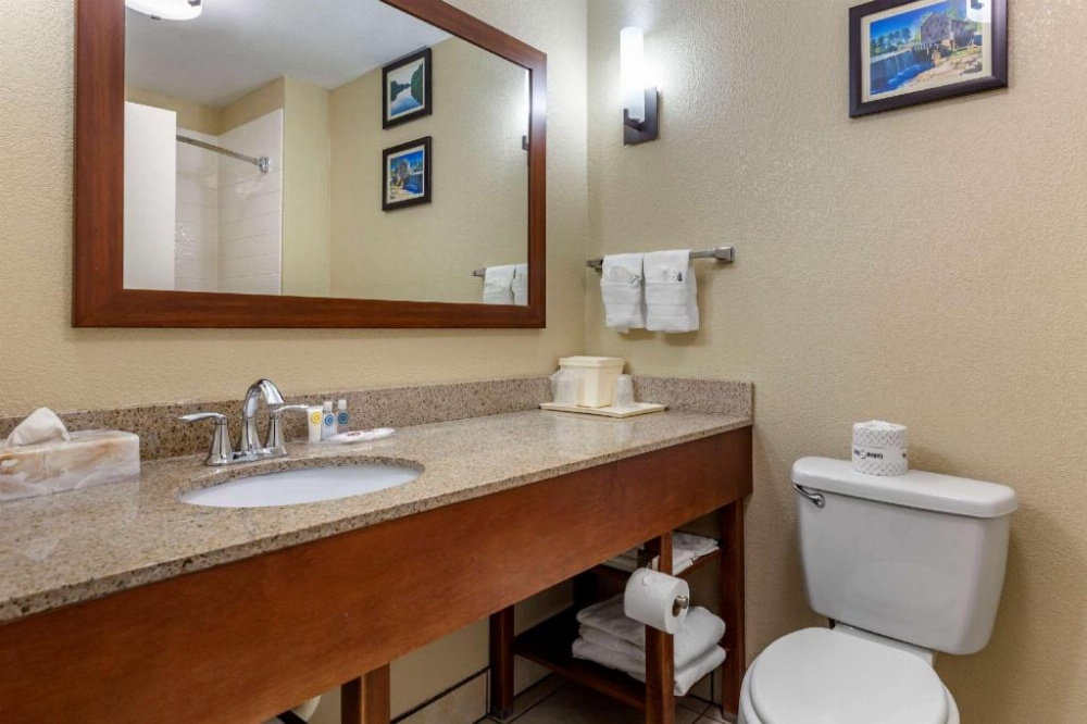 Comfort Suites Clayton - Garner Image 30