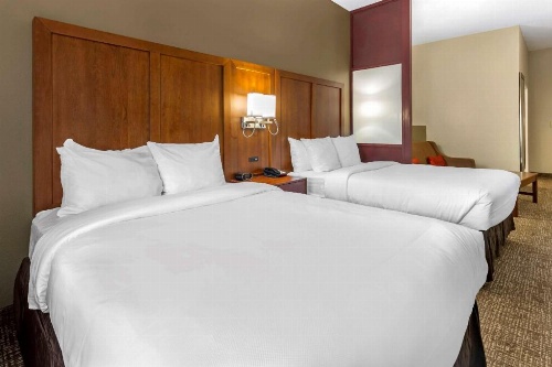 Comfort Suites Clayton - Garner image 34