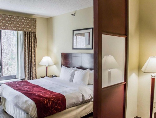 Comfort Suites Clayton - Garner image 38