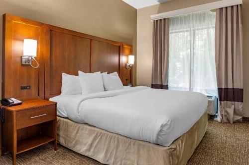 Comfort Suites Clayton - Garner image 40