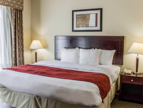 Comfort Suites Clayton - Garner image 41