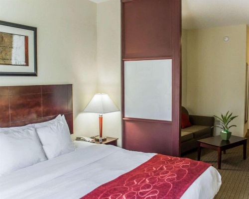 Comfort Suites Clayton - Garner image 43