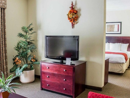 Comfort Suites Clayton - Garner image 45